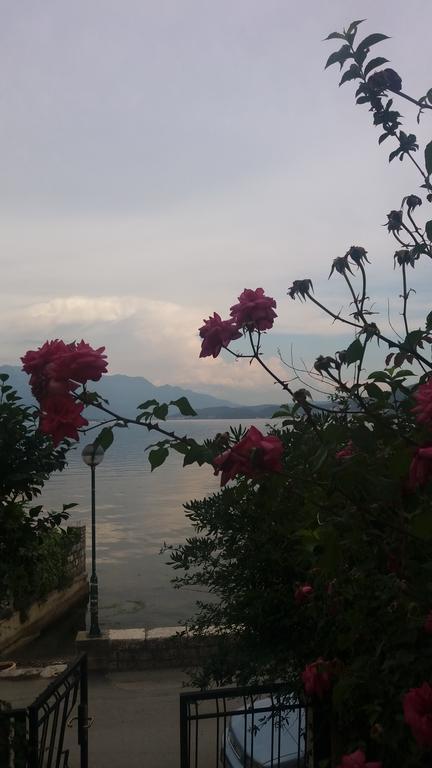 Apatments Stanojlovic Djenovic Herceg Novi Exterior foto